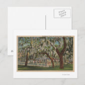 Lake Wales, FL - Uitzicht buitenshuis van Shuffleb Briefkaart (Voorkant / Achterkant)