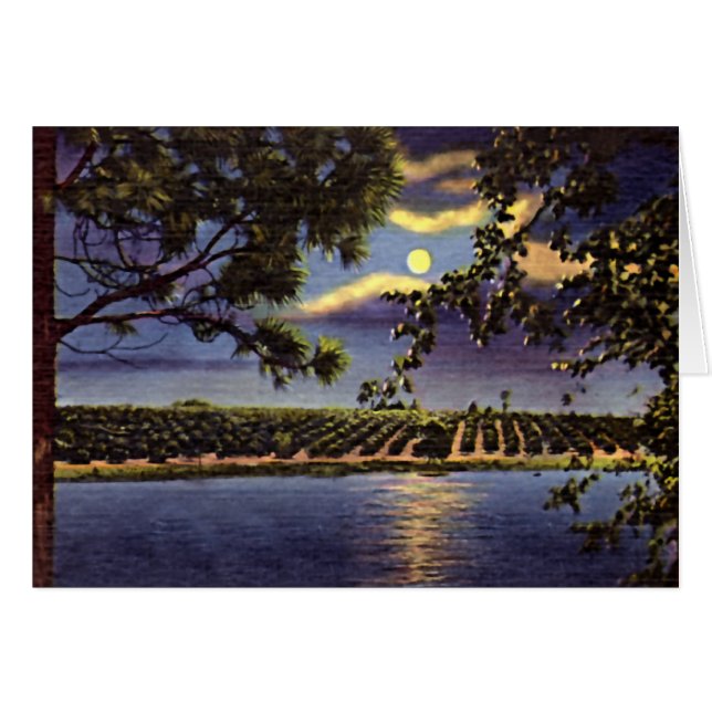 Lake Wales, Florida (Voorkant Horizontaal)