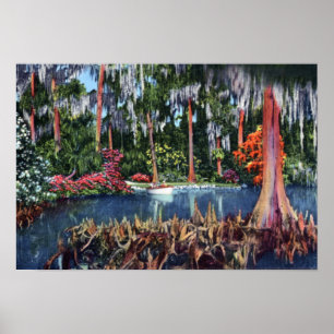 Lake Wales Florida Cypress Swamp en Boat Poster