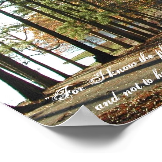 Lake Walk-Jeremiah 29:11 Poster (Hoek)