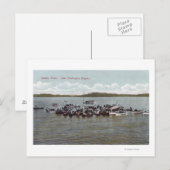 Lake Washington Regatta Scene Briefkaart (Voorkant / Achterkant)