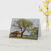 Lake Wendouree Pavilion Ballarat Kaart (Gele Bloem)