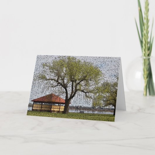 Lake Wendouree Pavilion Ballarat Kaart (Voorkant)