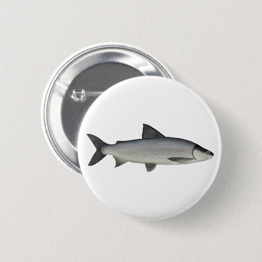 Lake Whitefish Button (Voorkant /achterkant)