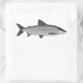 Lake Whitefish Rechthoekige Sticker (Tas)
