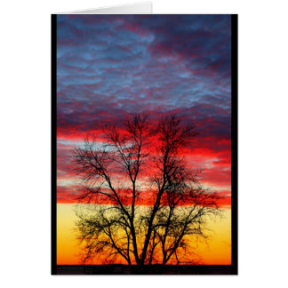 Lake Winnebago Sunset die op de Amerikaanse vlag l