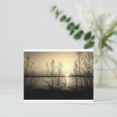 Lakefront bomen en zonsondergang briefkaart (Staand voorkant)