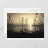 Lakefront bomen en zonsondergang briefkaart (Voorkant / Achterkant)