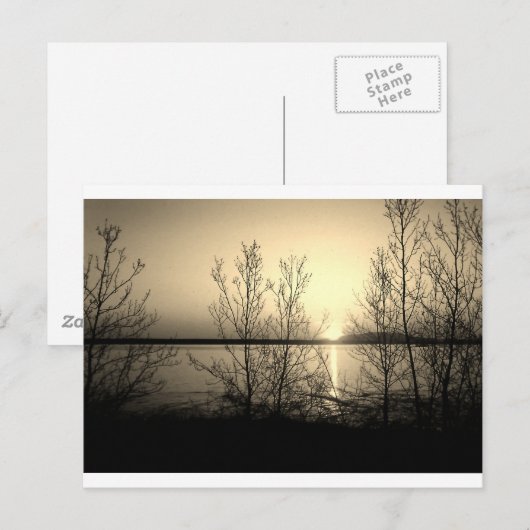 Lakefront bomen en zonsondergang briefkaart (Voorkant / Achterkant)