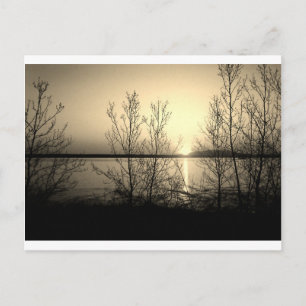 Lakefront bomen en zonsondergang briefkaart