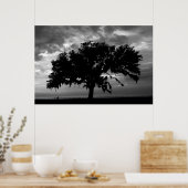 Lakefront Live Oak Poster (Keuken)