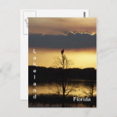 Lakeland Florida Sunset 139 Briefkaart (Voorkant / Achterkant)