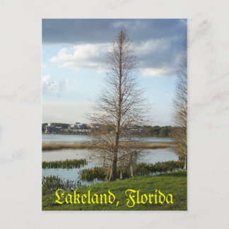 Lakeland Florida Tree by Lake 008 Briefkaart