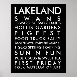 Lakeland geschiedenis 16x20 witte tekst poster