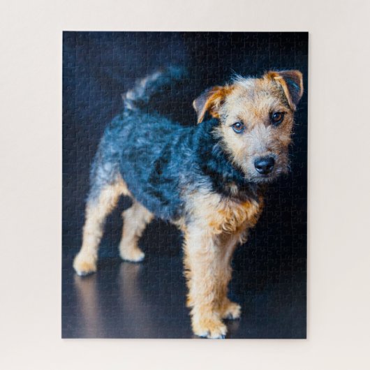 Lakeland Terrier Dog. Legpuzzel (Verticaal)