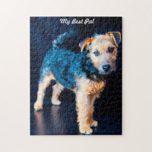 Lakeland Terrier Dog. Legpuzzel