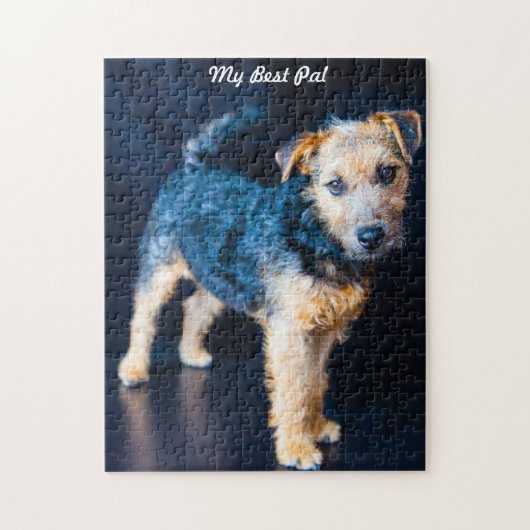 Lakeland Terrier Dog. Legpuzzel (Verticaal)