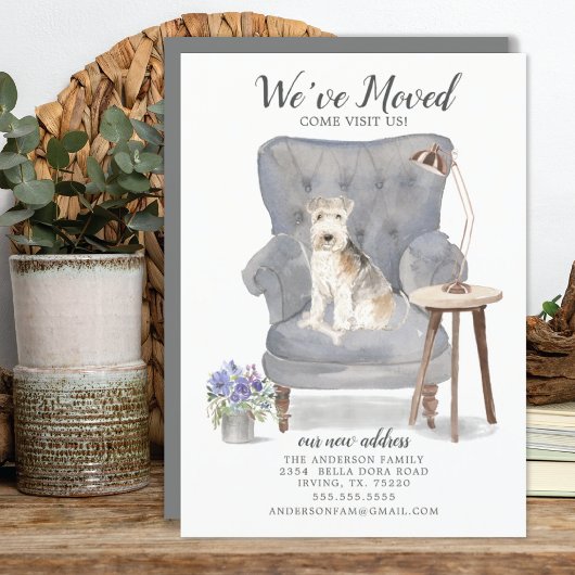 Lakeland Terrier Dog | Verplaatsingsaankondiging Aankondiging