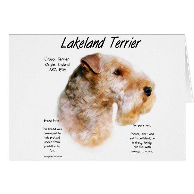 Lakeland Terrier Geschiedenis Ontwerp (Voorkant Horizontaal)
