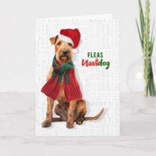 Lakeland Terrier Hond Grappige Vlooien Navidog Ker Feestdagen Kaart