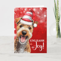 Lakeland Terrier-hond laat de vreugde los met Kers