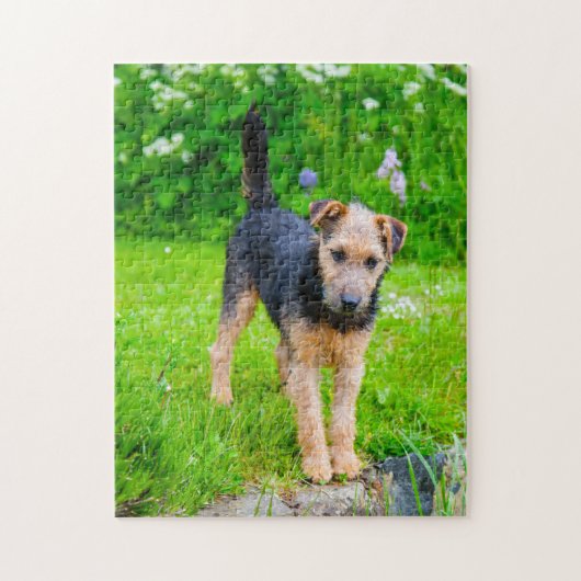 Lakeland Terrier hond. Legpuzzel (Verticaal)