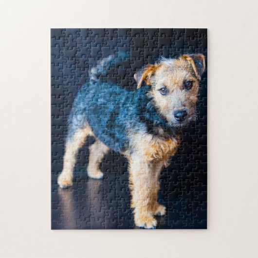 Lakeland Terrier hond. Legpuzzel (Verticaal)