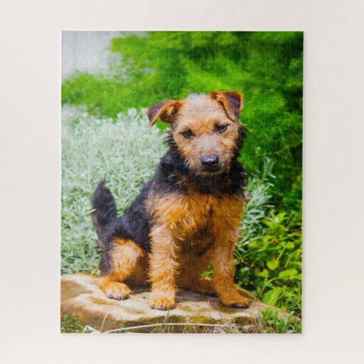Lakeland Terrier hond. Legpuzzel (Verticaal)