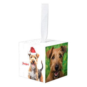 Lakeland Terrier Hond Twee Foto Kerstvakantie Decoratie