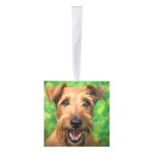 Lakeland Terrier Hond Twee Foto Kerstvakantie Decoratie (Rechts)