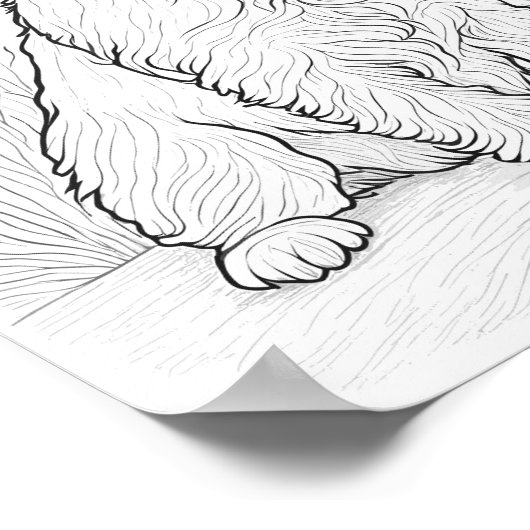 Lakeland Terrier Hond Volwassen Kleurplaten Poster (Hoek)