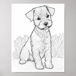 Lakeland Terrier Hond Volwassen Kleurplaten Poster