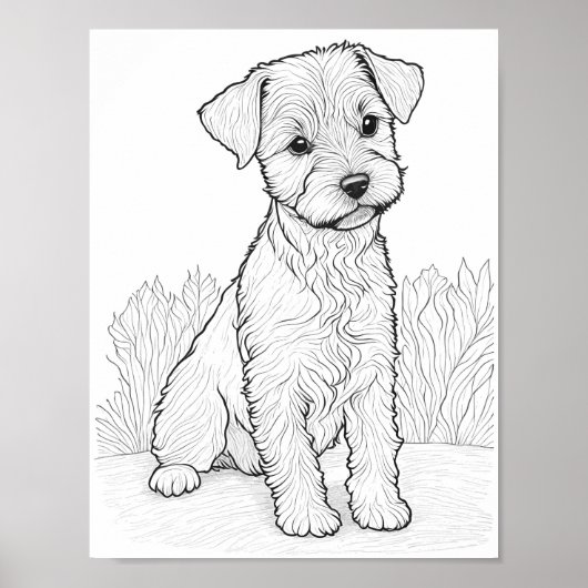 Lakeland Terrier Hond Volwassen Kleurplaten Poster (Voorkant)