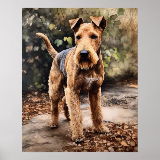 Lakeland Terrier Hondenkunst Print Poster (Voorkant)