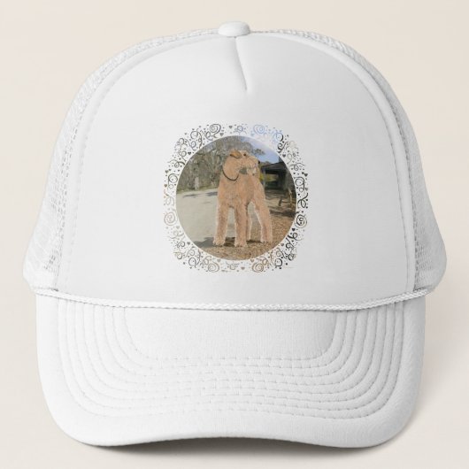 Lakeland Terrier in de stalwerf Trucker Pet (Voorkant)