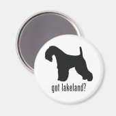 Lakeland Terrier Magneet (Voorkant / Achterkant)