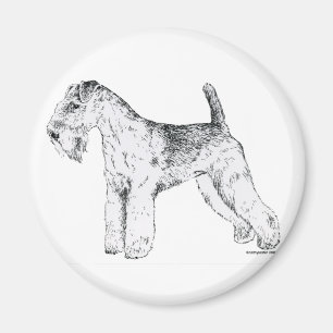 Lakeland Terrier Magneet