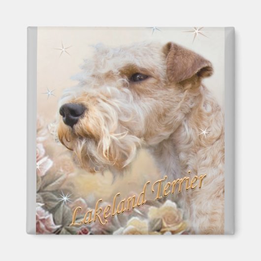 Lakeland Terrier Onder Rozen magneet (Voorkant)