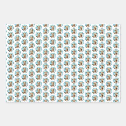 Lakeland Terrier Painting - Cute Original Dog Art Inpakpapier Vel (Voorkant 2)