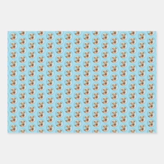 Lakeland Terrier Painting - Cute Original Dog Art Inpakpapier Vel (Voorkant)