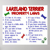 LAKELAND TERRIER PL2 POSTER (Voorkant)