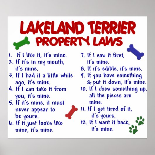 LAKELAND TERRIER PL2 POSTER (Voorkant)