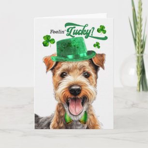 Lakeland Terrier Voelt Zich Gelukkig St Patrick's Feestdagen Kaart