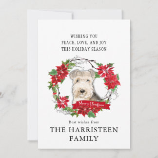 Lakeland Terrier Waterverf Poinsettia Kerst Feestdagenkaart