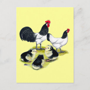 Lakenvelder Chicken Family Briefkaart