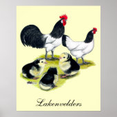Lakenvelder Chicken Family Poster (Voorkant)
