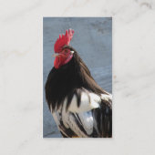 Lakenvelder Rooster Visitekaartje (Achterkant)