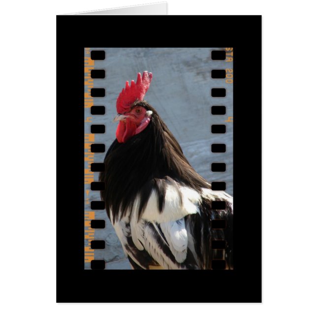 Lakenvelophouder op film (Voorkant)
