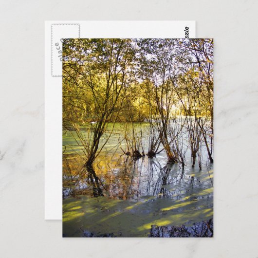 LAKES BRIEFKAART (Voorkant / Achterkant)