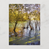 LAKES BRIEFKAART (Voorkant)